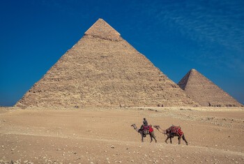 Туристы в Египте смогут пожаловаться на сервис по горячей линии Туристы в Египте смогут пожаловаться на сервис по горячей линии