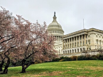 США рассматривают смягчение ограничений на въезд из нескольких стран в мае США рассматривают смягчение ограничений на въезд из нескольких стран в мае