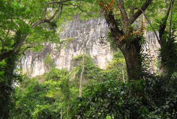 Нацпарк Khao Yai отправляет туристам забытый ими мусор