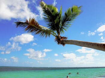 В Доминикане для туристов продлили бесплатную страховку от COVID-19