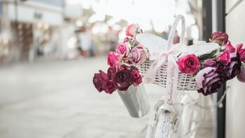 Турпутёвка стала самым желанным подарком к 8 Марта для россиянок Турпутёвка стала самым желанным подарком к 8 Марта для россиянок
