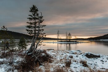 Финляндия продлила закрытие всех КПП на границе с Россией до 11 февраля Финляндия продлила закрытие всех КПП на границе с Россией до 11 февраля