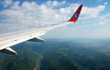 Рейс Turkish Airlines из Москвы в Стамбул задержали из-за танцевавшего пассажира Рейс Turkish Airlines из Москвы в Стамбул задержали из-за танцевавшего пассажира