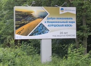 Стоимость въезда на Куршскую косу для автомобилей могут увеличить