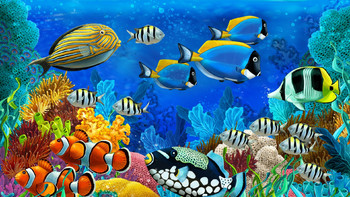 Kensington Tours представила трехдневную экспедицию на дно Индийского океана Kensington Tours представила трехдневную экспедицию на дно Индийского океана