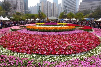 В Гонконге открылась выставка Hong Kong Flower Show 2018 В Гонконге открылась выставка Hong Kong Flower Show 2018