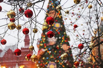 Как россияне планировали провести новогодние каникулы Как россияне планировали провести новогодние каникулы