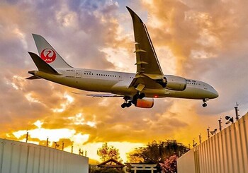 Japan Airlines заменила обращение «дамы и господа» на гендерно-нейтральные фразы