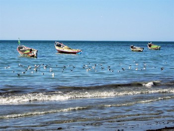 Coral Travel приостановил чартеры в Гамбию Coral Travel приостановил чартеры в Гамбию
