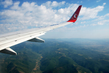 Turkish Airlines запустила авиапаспорт PAWSPORT для путешествий с питомцами Turkish Airlines запустила авиапаспорт PAWSPORT для путешествий с питомцами