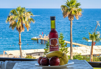 Новые отели Турции отказываются от формата All Inclusive Новые отели Турции отказываются от формата All Inclusive