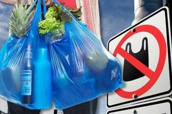 Германия запретит производство и использование пластиковых пакетов Германия запретит производство и использование пластиковых пакетов