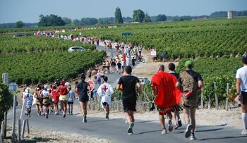 Во Франции открыли регистрацию на винный марафон Marathon du Médoc Во Франции открыли регистрацию на винный марафон Marathon du Médoc