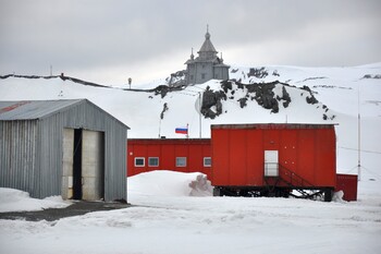 Обыкновенные комары впервые появились в Антарктиде Обыкновенные комары впервые появились в Антарктиде