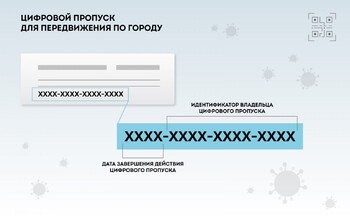 Московские такси начнут проверять цифровые пропуска при заказе